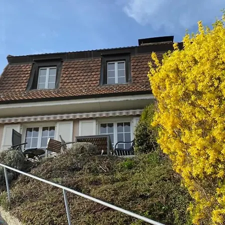 Villa Grandvaux 빌라 *